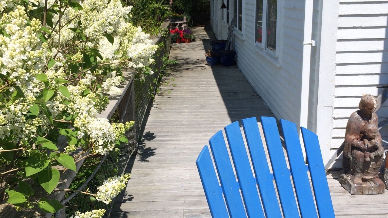 Photo of Others in Swans Island