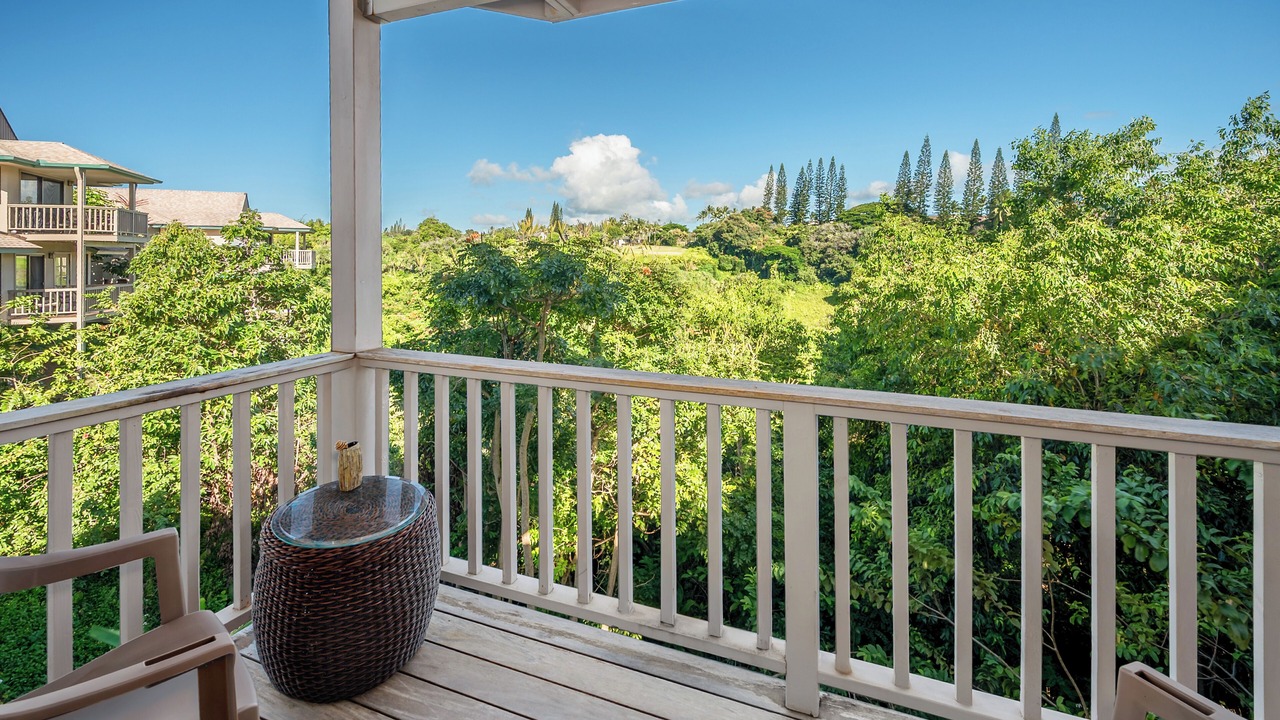 Photo of Outdoor in Princeville