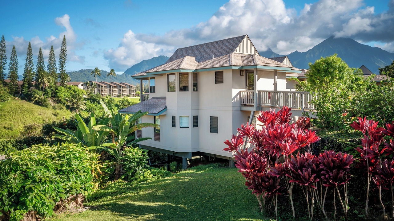 Photo of Outdoor in Princeville