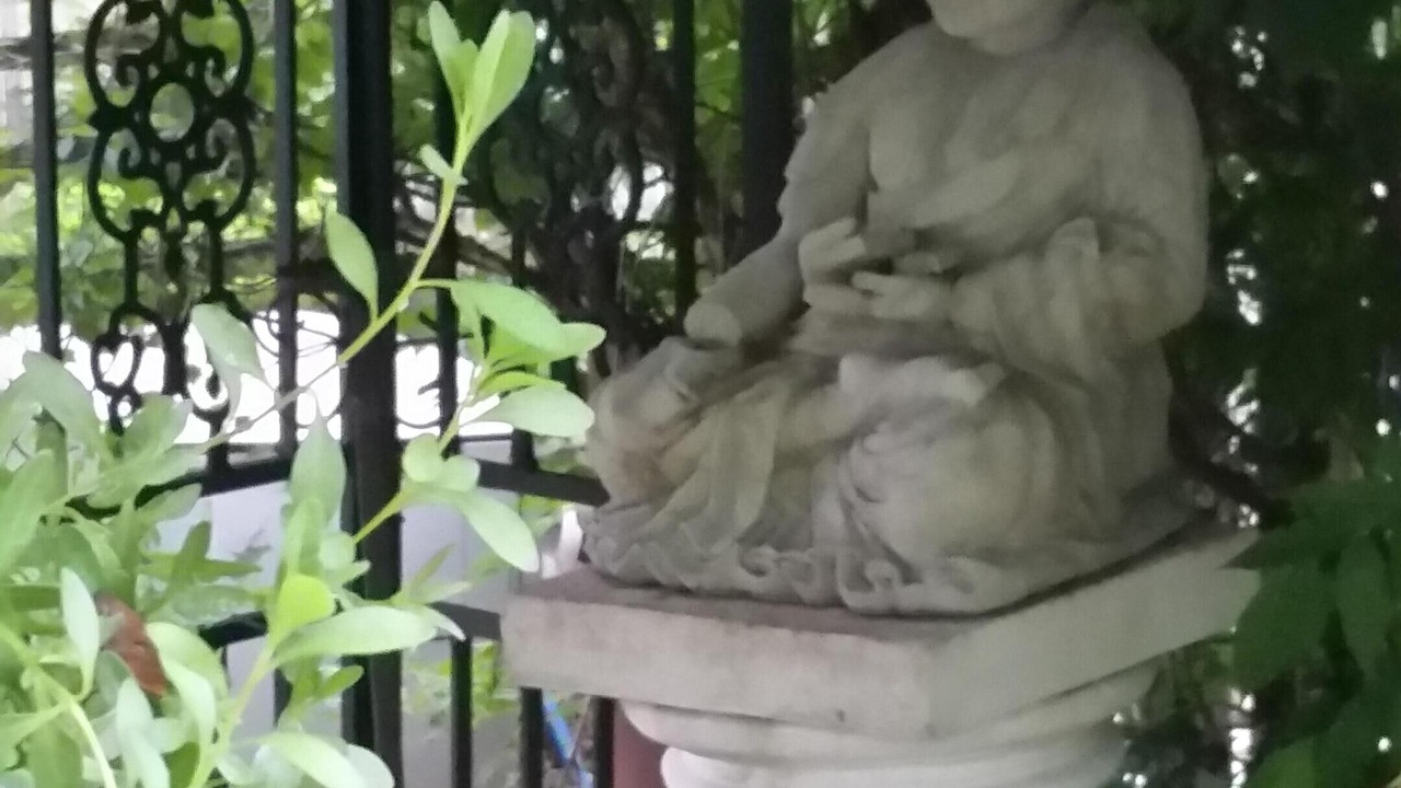 Photo of Outdoor in New Hope