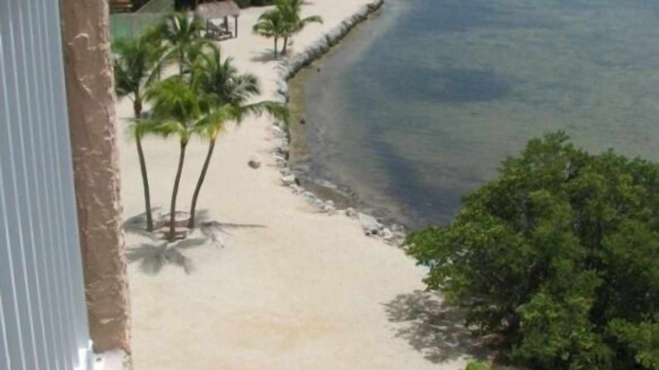 Photo of Others in Tavernier