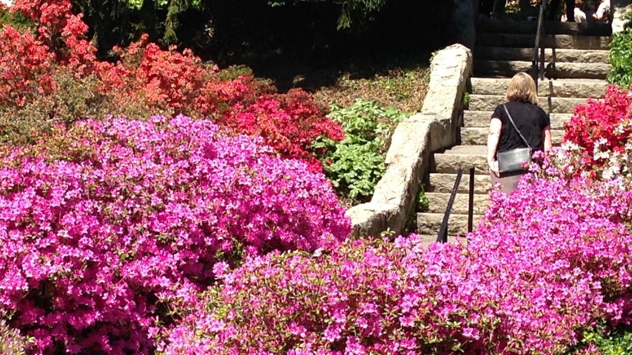 Photo of Others in Downtown Asheville