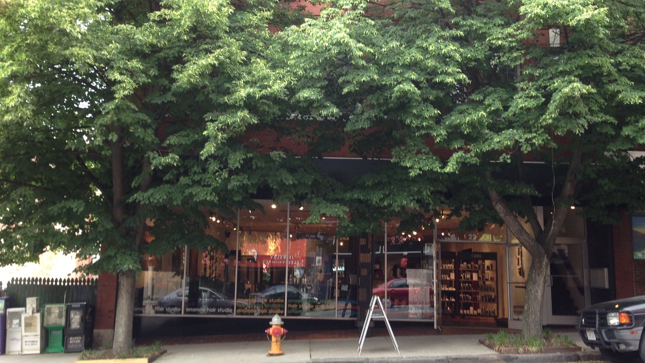 Photo of Others in Downtown Asheville