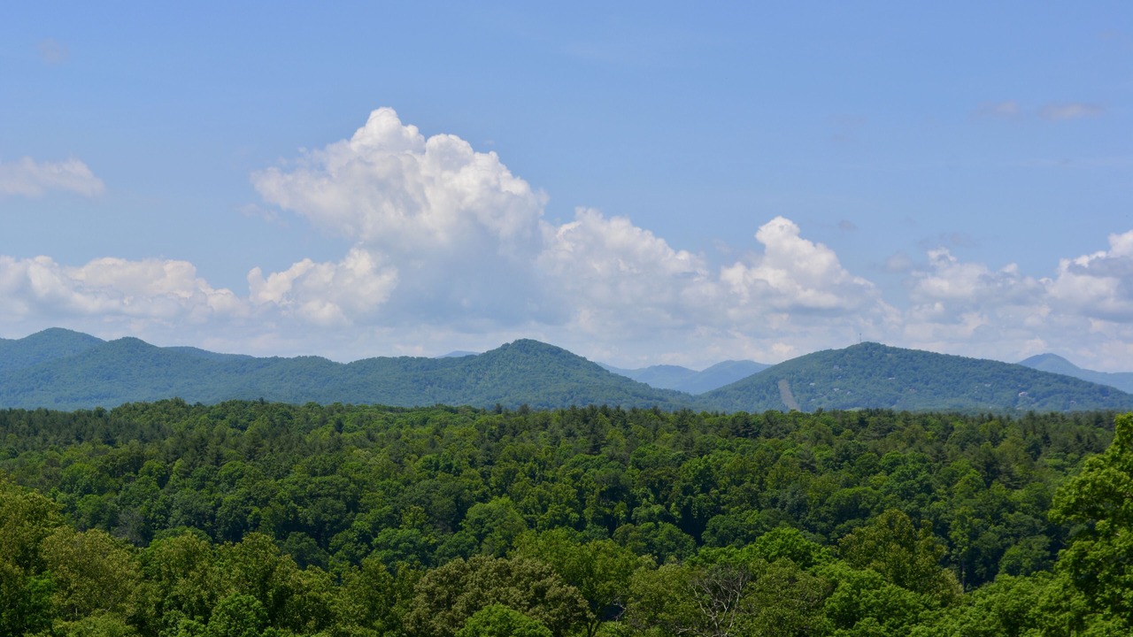 Photo of Others in Downtown Asheville