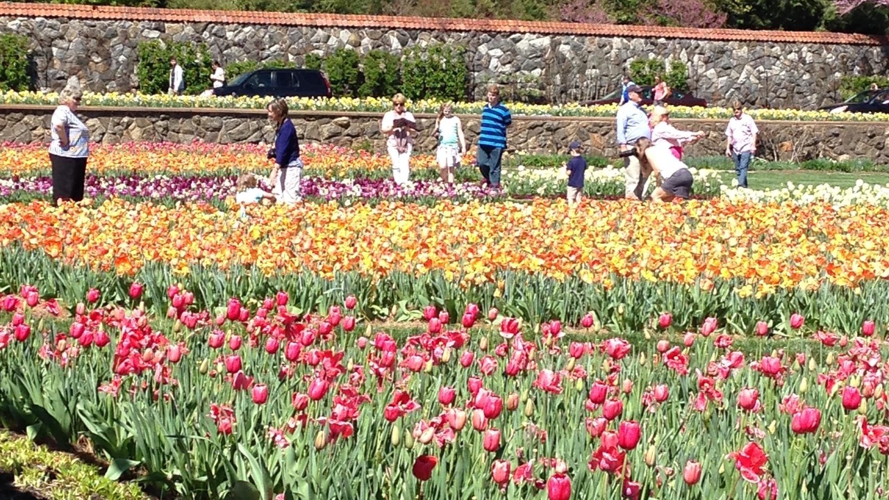 Photo of Outdoor in Downtown Asheville