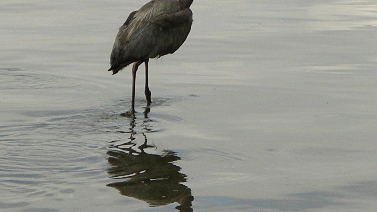 Photo of Others in Vashon Island