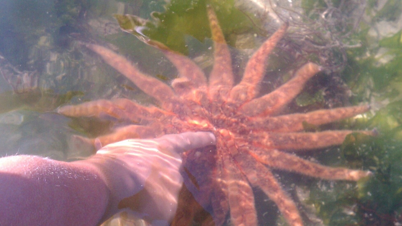 Photo of Others in Vashon Island
