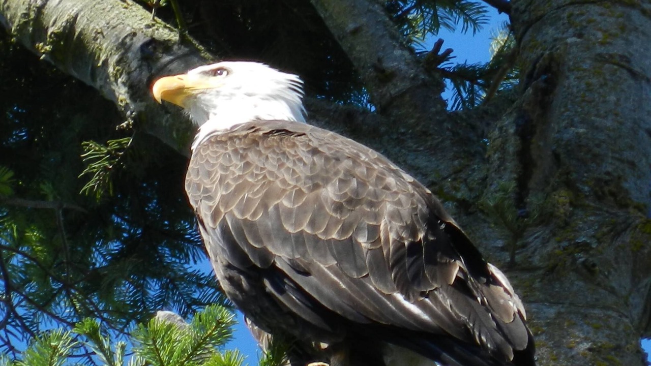 Photo of Others in Vashon Island