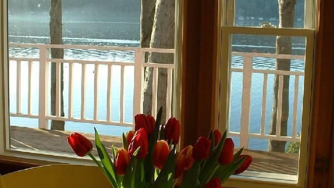 Photo of Others in Vashon Island