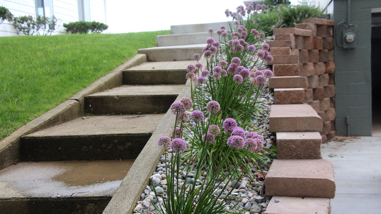 Photo of Outdoor in Pigeon