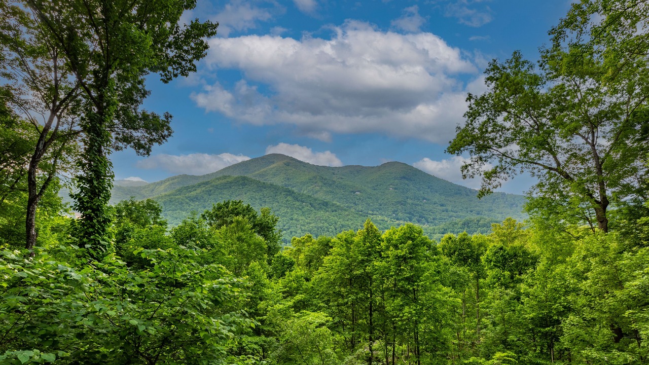 Photo of Others in Maggie Valley