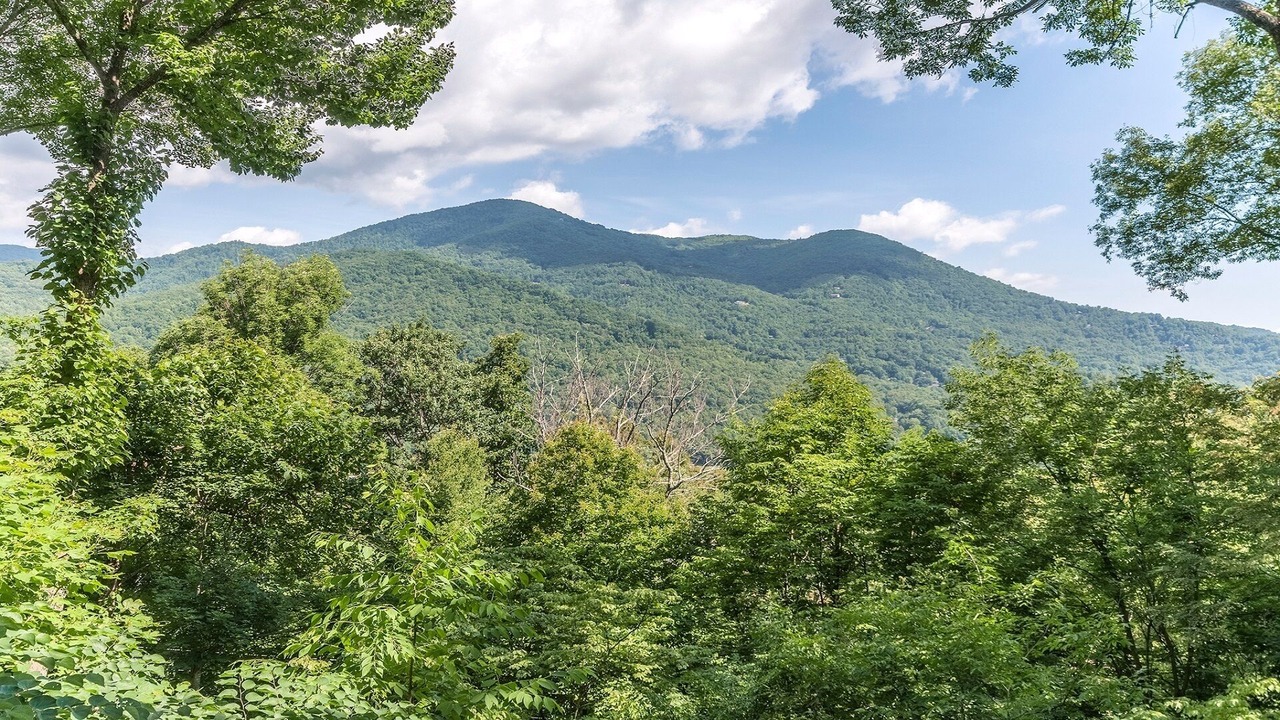 Photo of Others in Maggie Valley