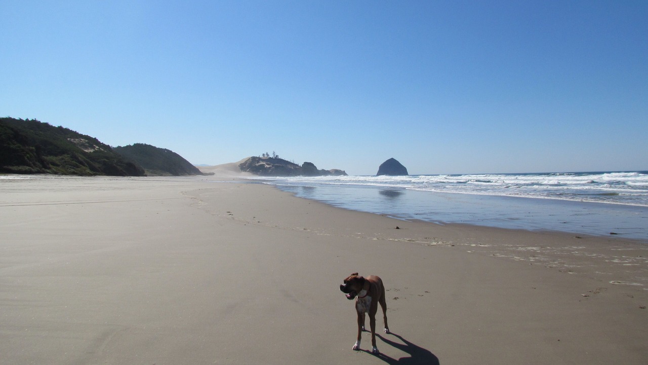 Photo of Others in Pacific City