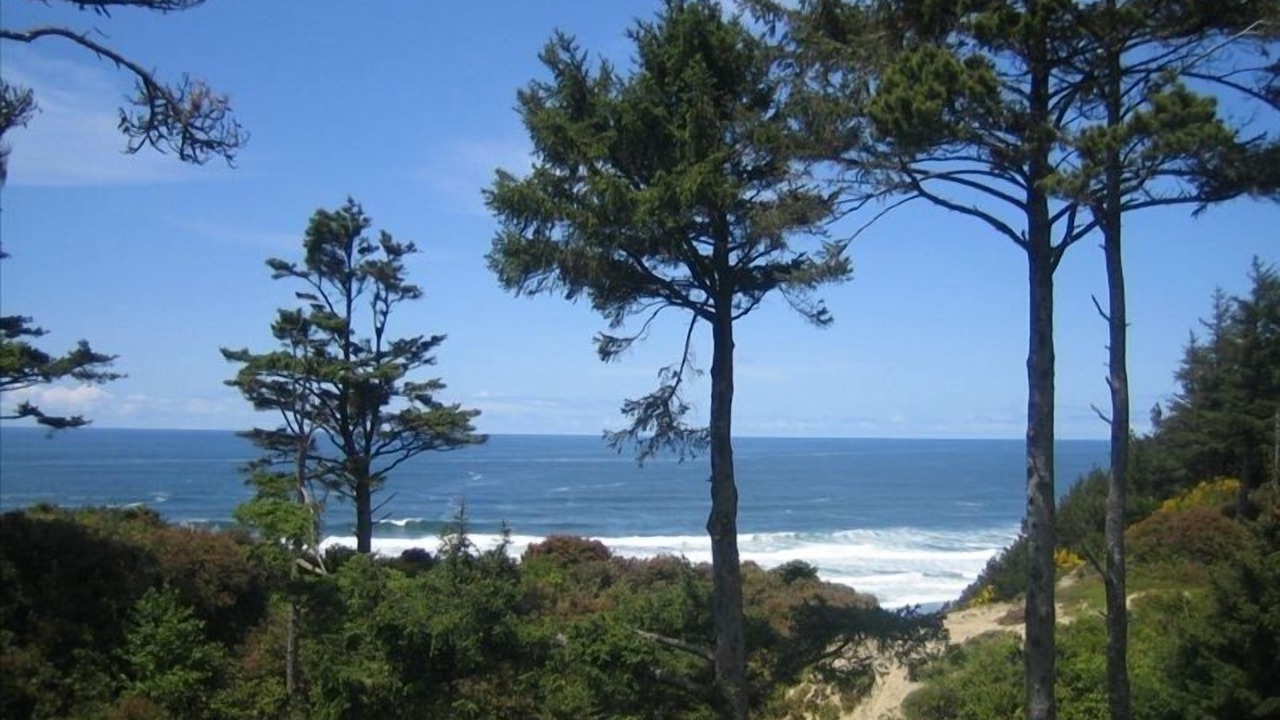 Photo of Others in Pacific City