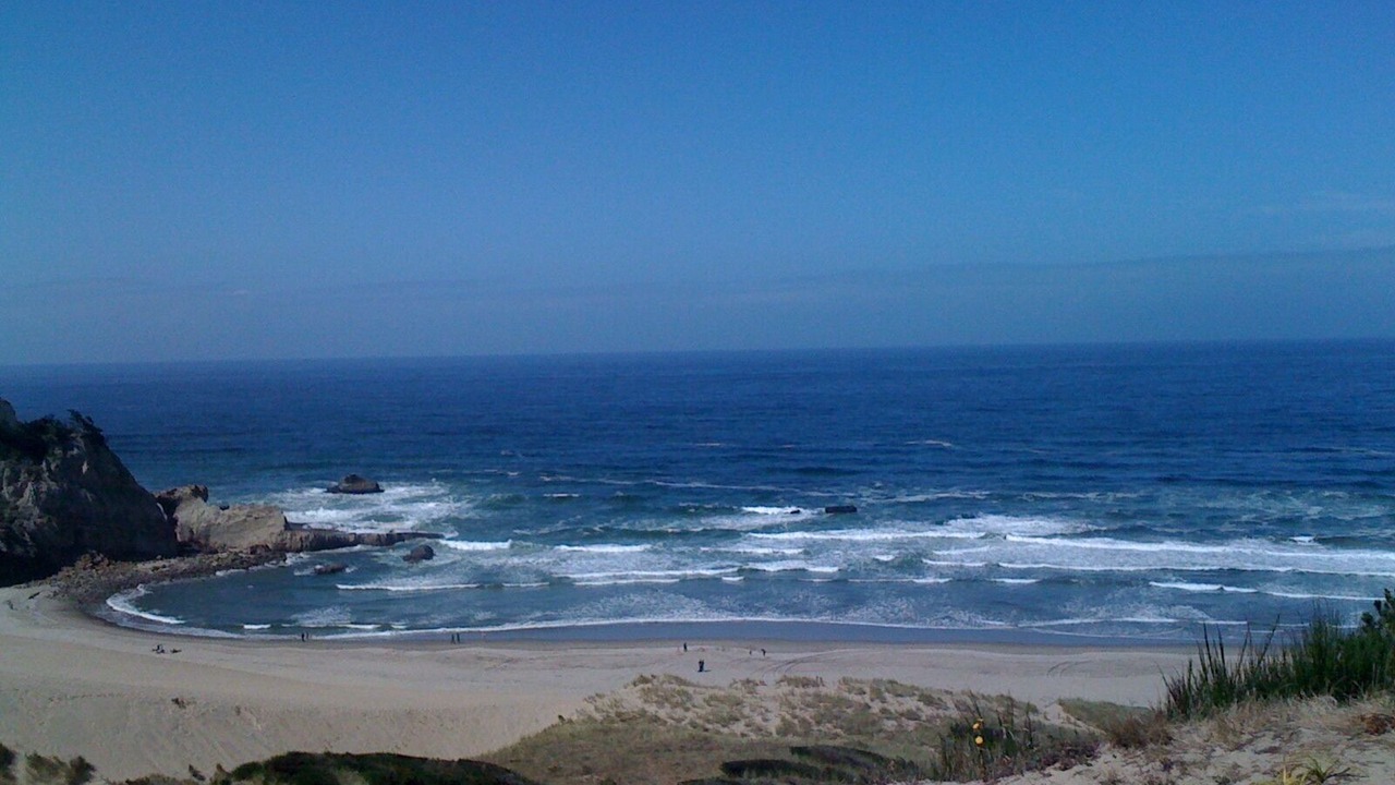 Photo of Others in Pacific City