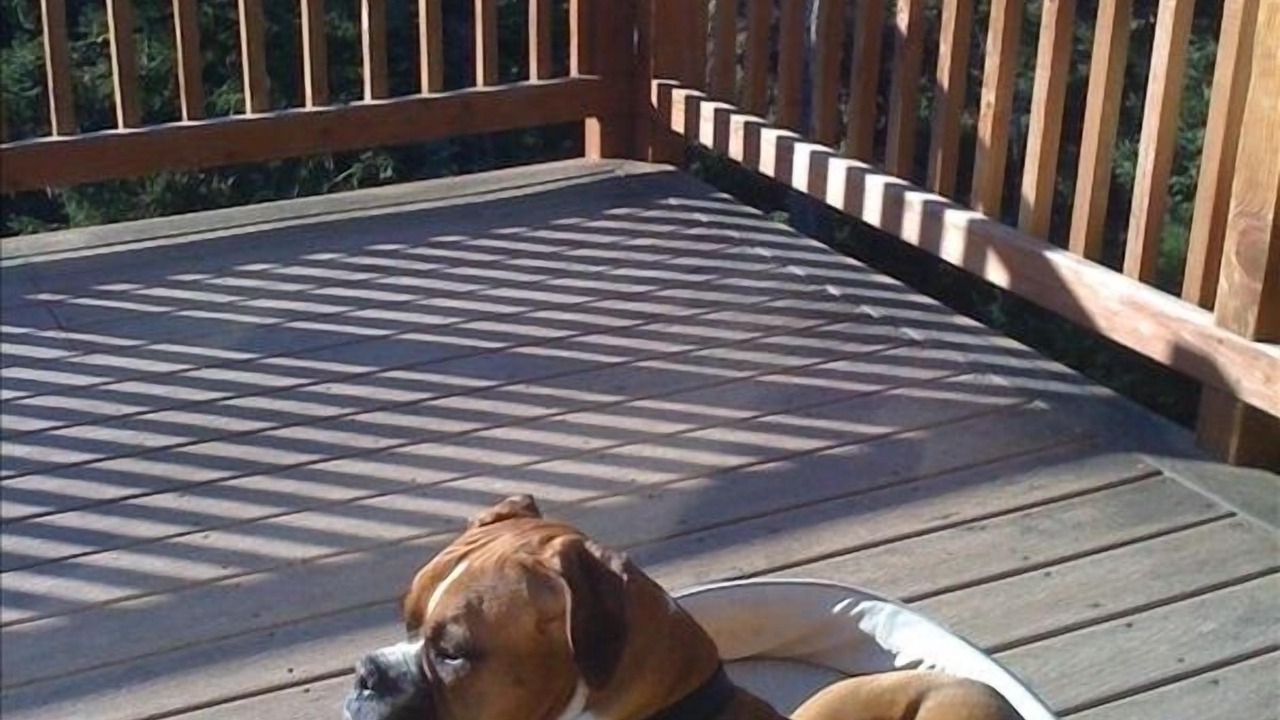 Photo of Others in Pacific City