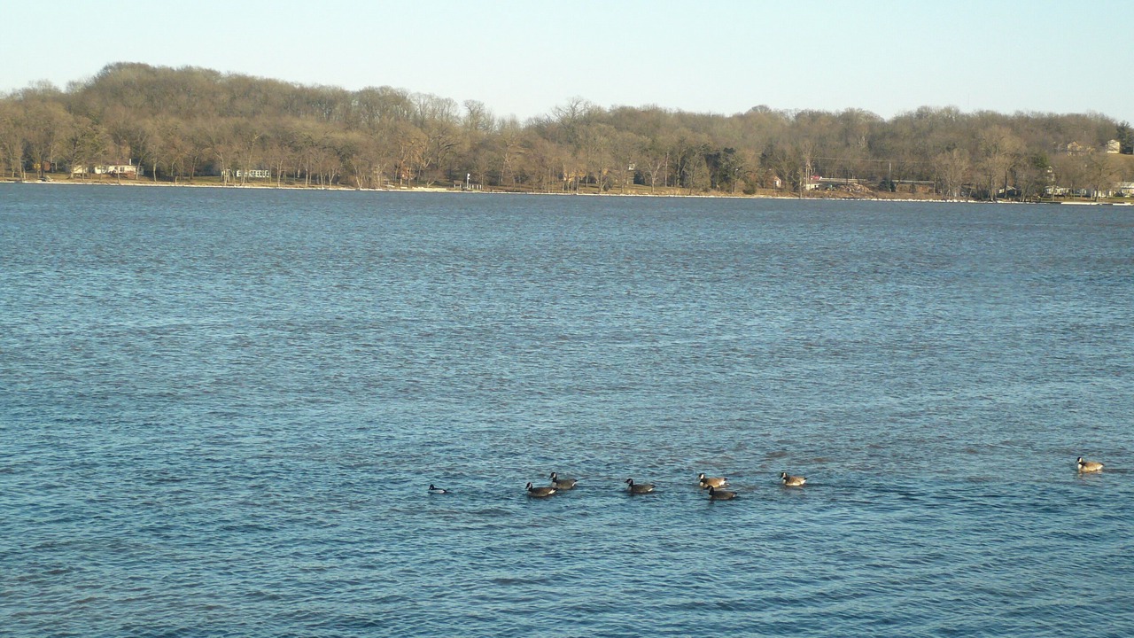 Photo of Others in Scott County