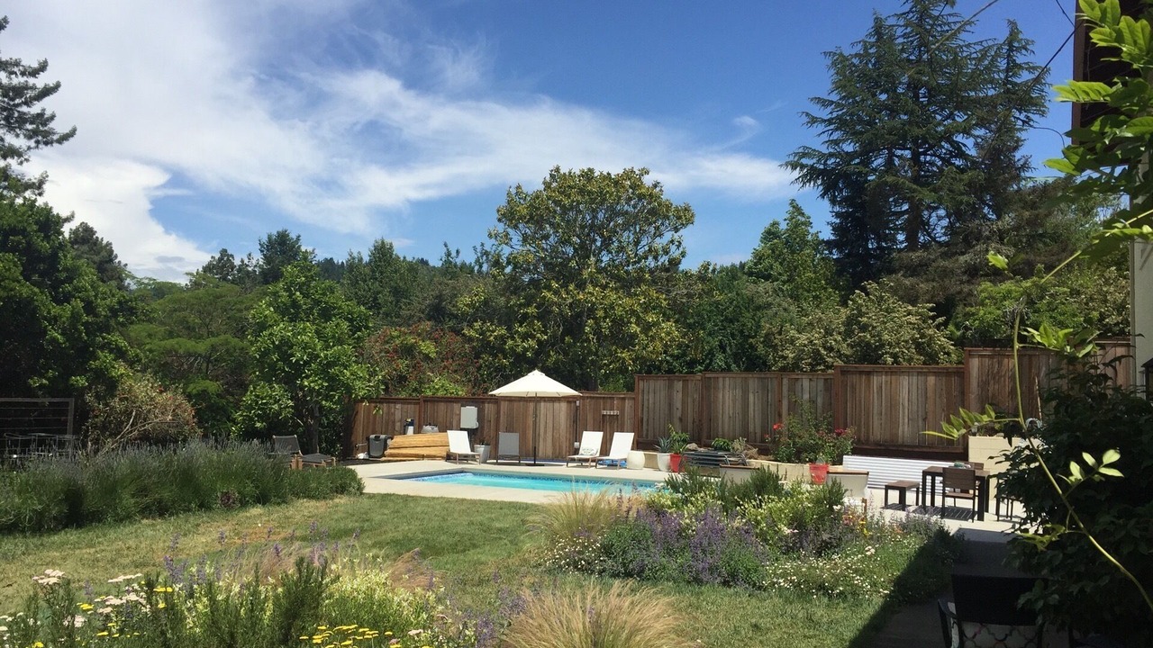 Photo of Outdoor in Guerneville