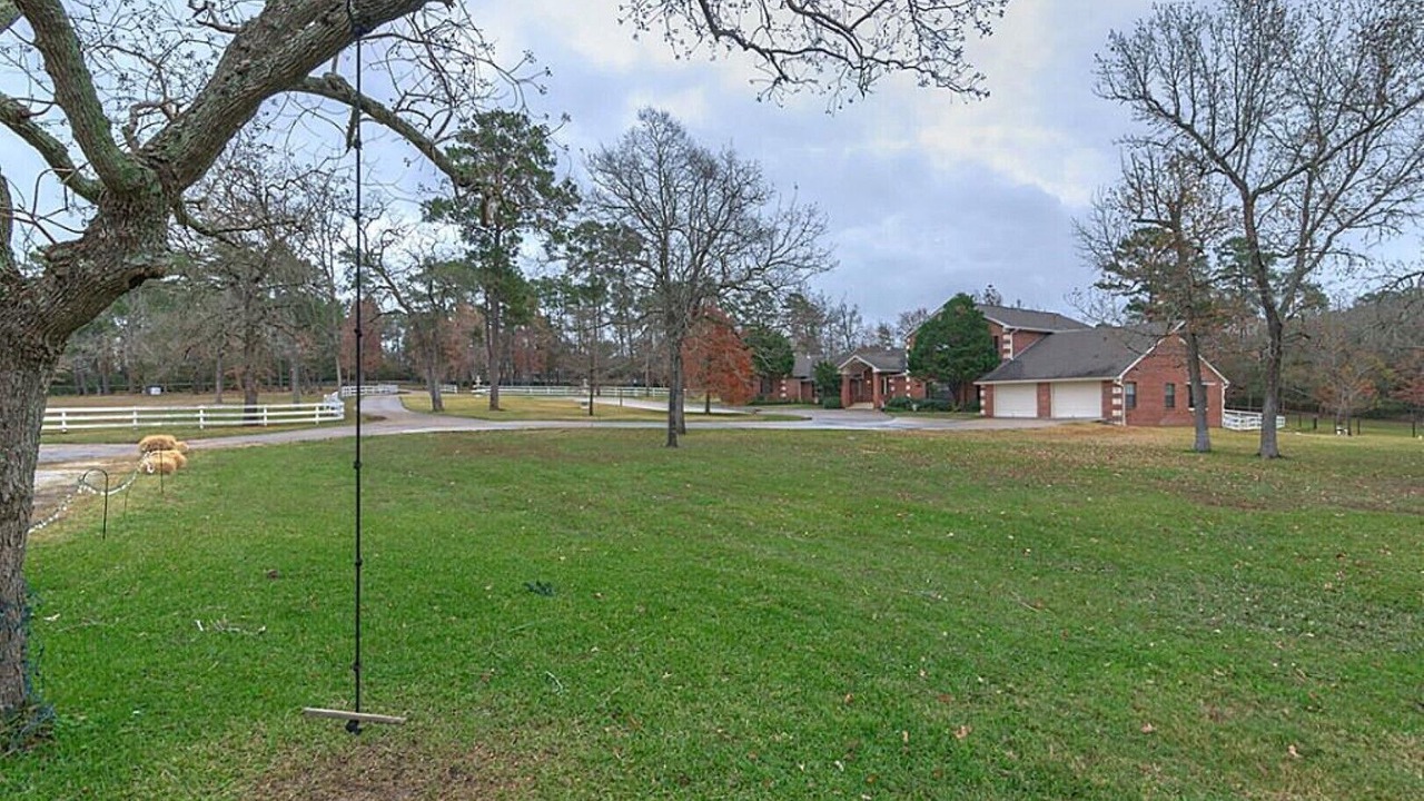 Photo of Outdoor in Willis