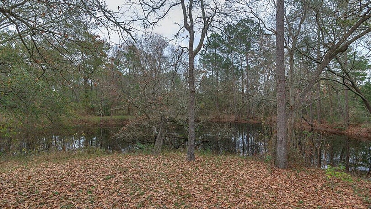 Photo of Outdoor in Willis