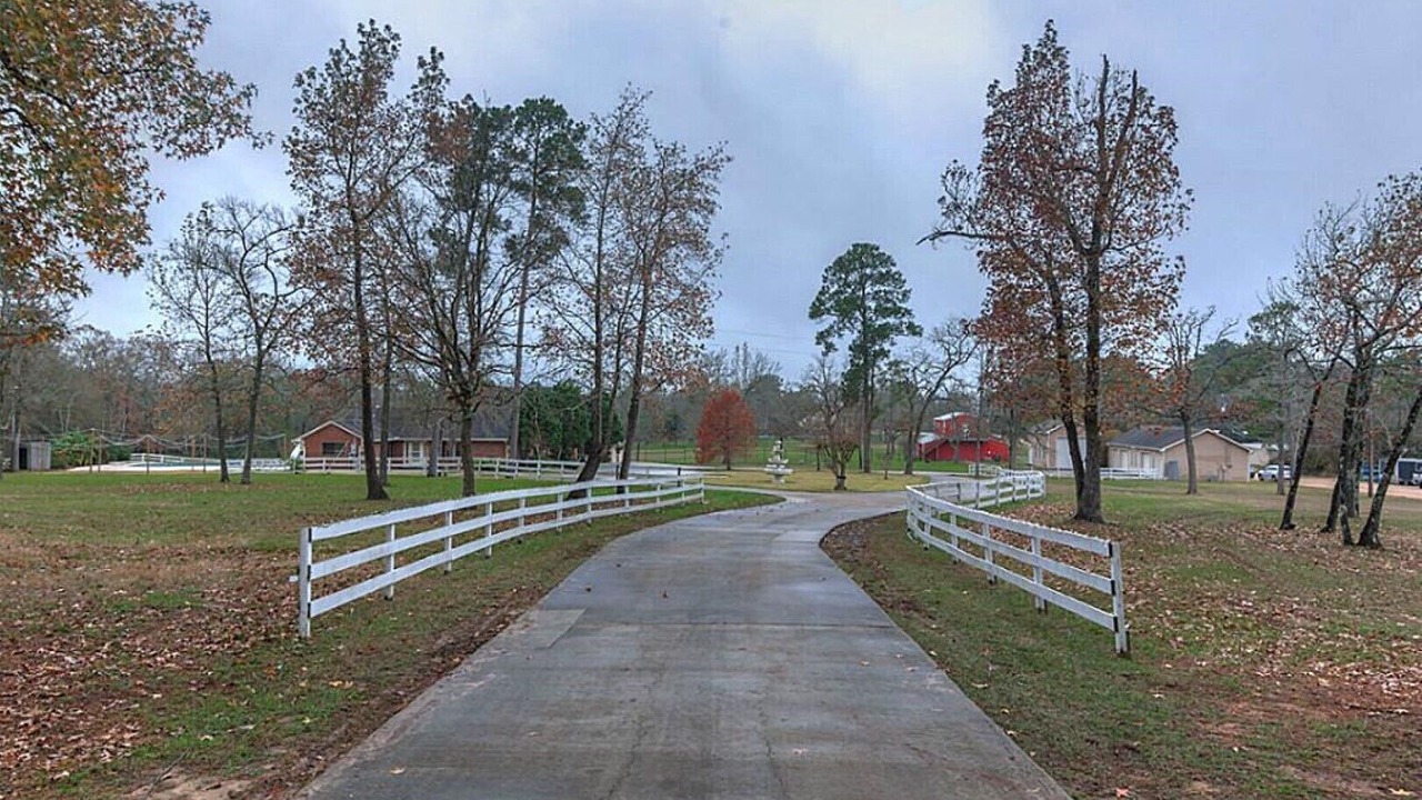 Photo of Outdoor in Willis