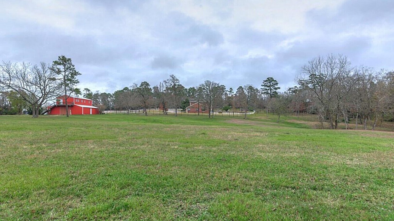 Photo of Outdoor in Willis
