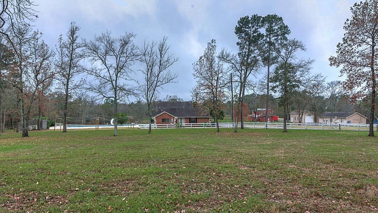 Photo of Outdoor in Willis