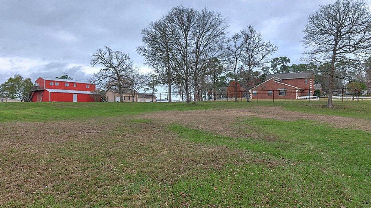 Photo of Outdoor in Willis