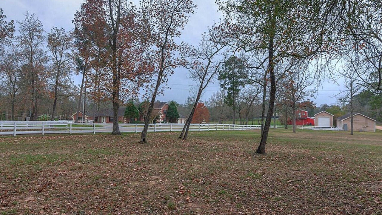 Photo of Outdoor in Willis