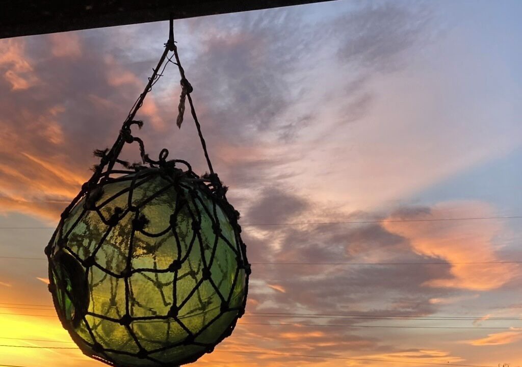 Photo of Others in Opal Cliffs