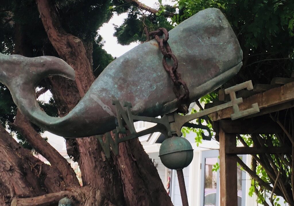 Photo of Others in Opal Cliffs