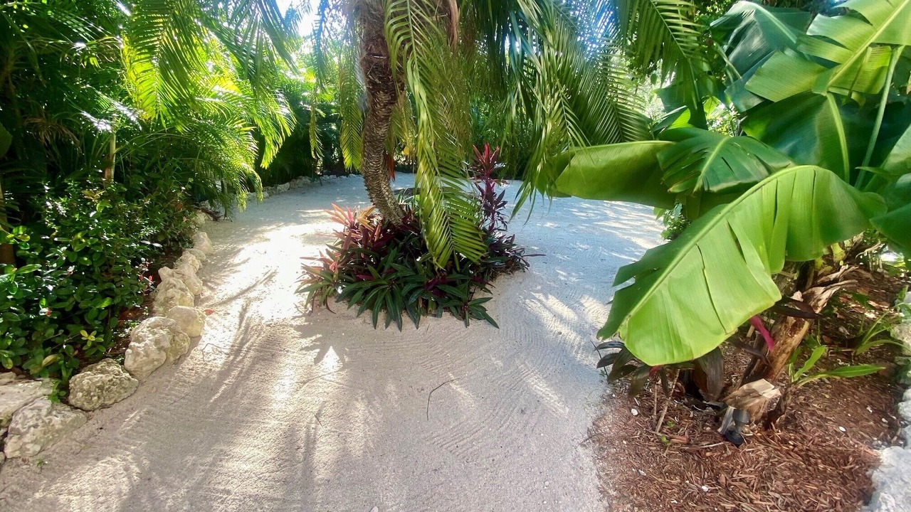 Photo of Others in Summerland Key