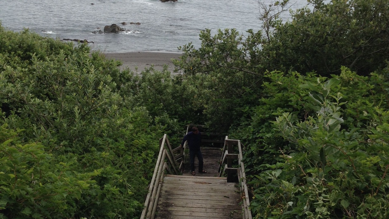 Photo of Others in Harbor