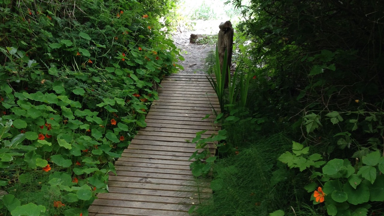 Photo of Others in Harbor