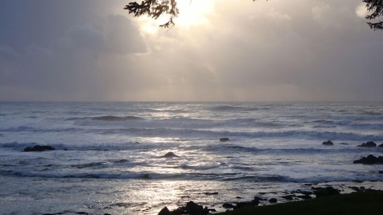 Photo of Others in Harbor