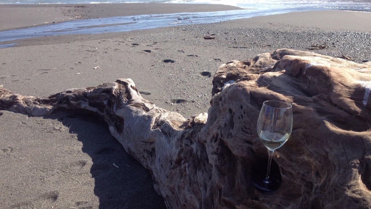 Photo of Others in Harbor