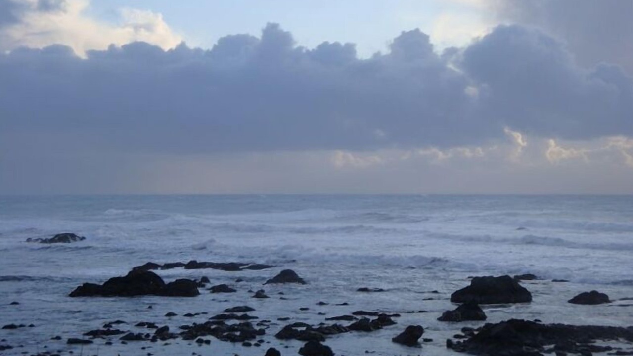 Photo of Others in Harbor