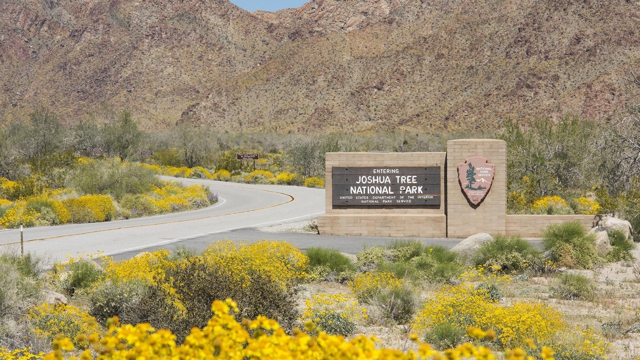 Photo of Others in Desert Hot Springs