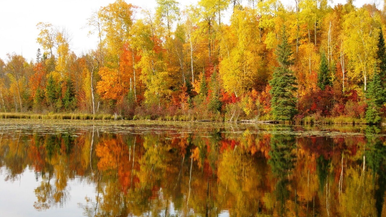 Photo of Others in Marcell