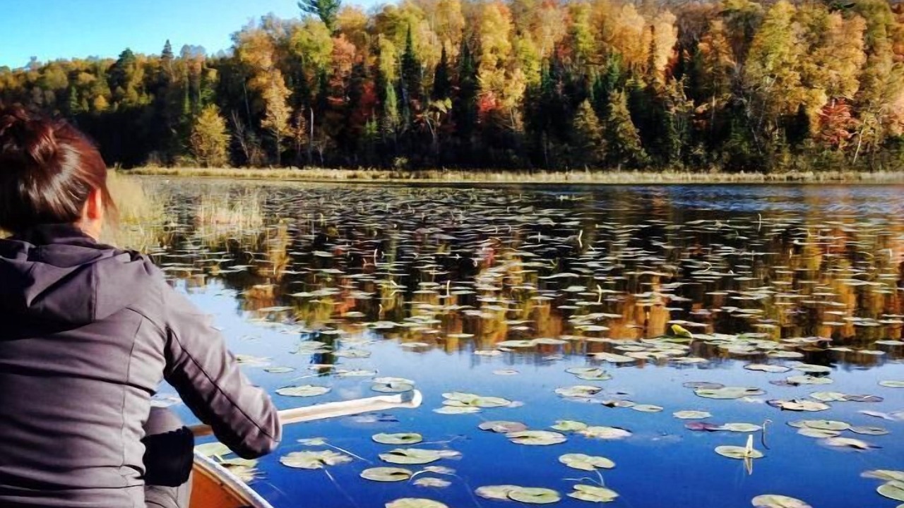 Photo of Others in Marcell