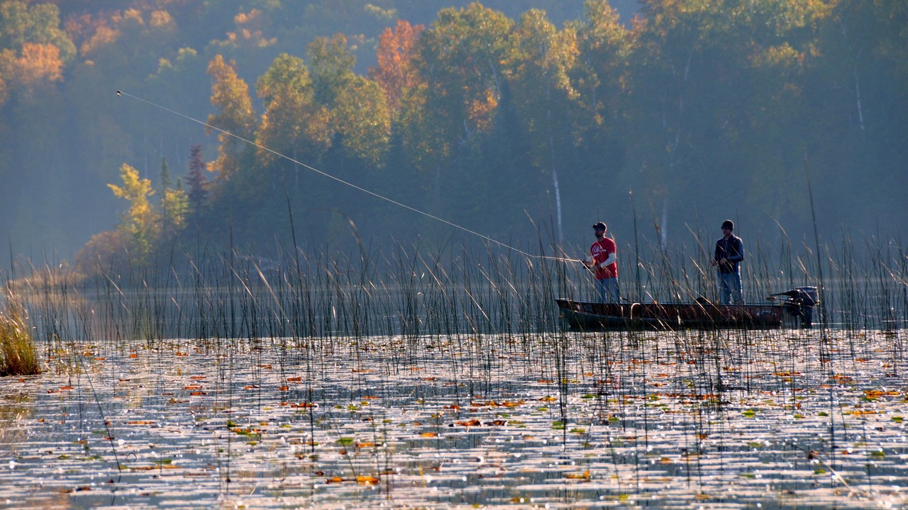 Photo of Outdoor in Marcell