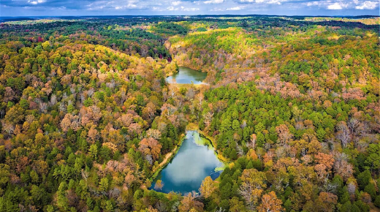Photo of Outdoor in Eureka Springs