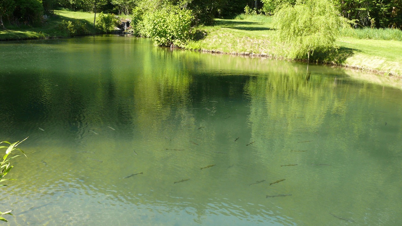 Photo of Outdoor in Ashford