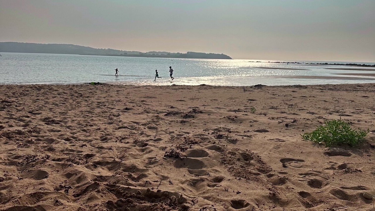 Photo of Others in Port Hood