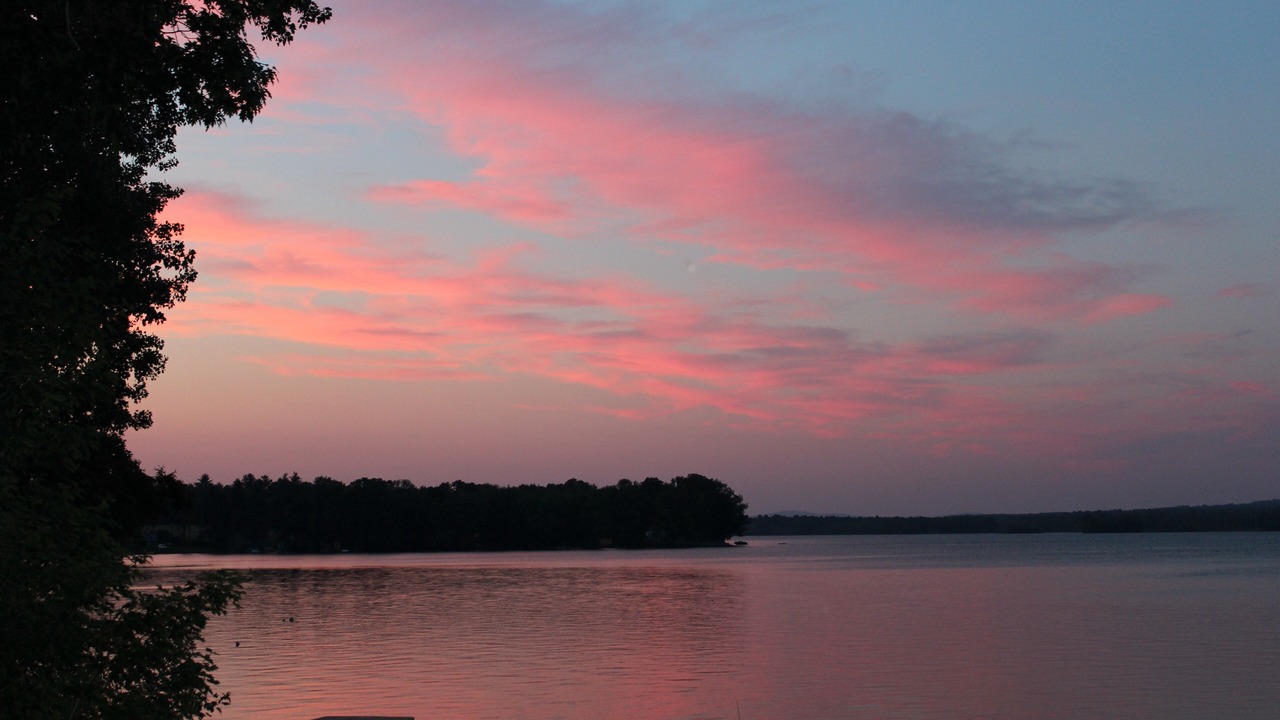 Photo of Others in Newport