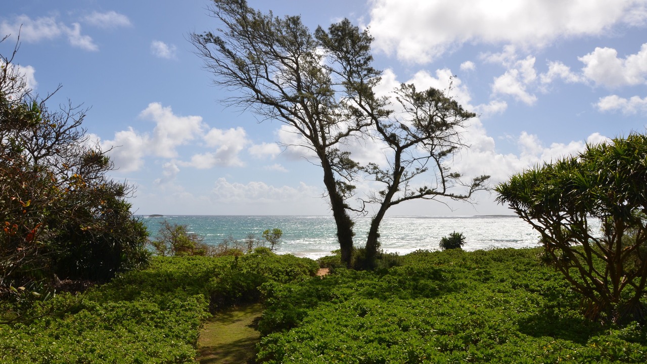 Photo of Others in Kahuku
