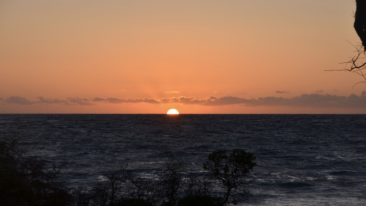 Photo of Others in Kahuku