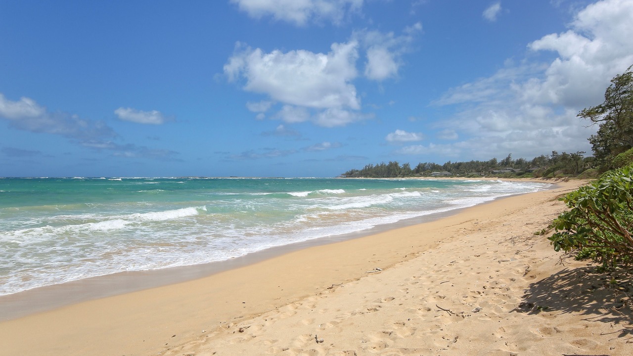 Photo of Others in Kahuku