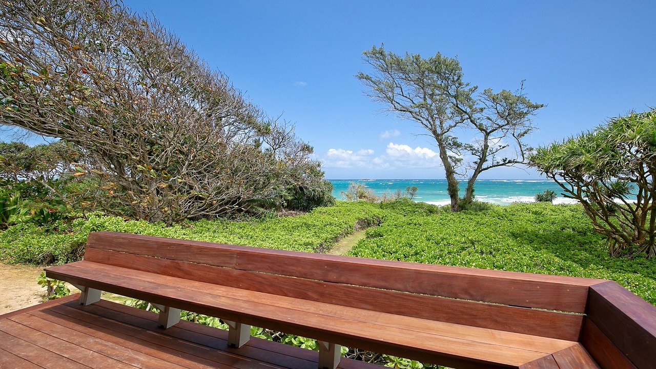 Photo of Others in Kahuku