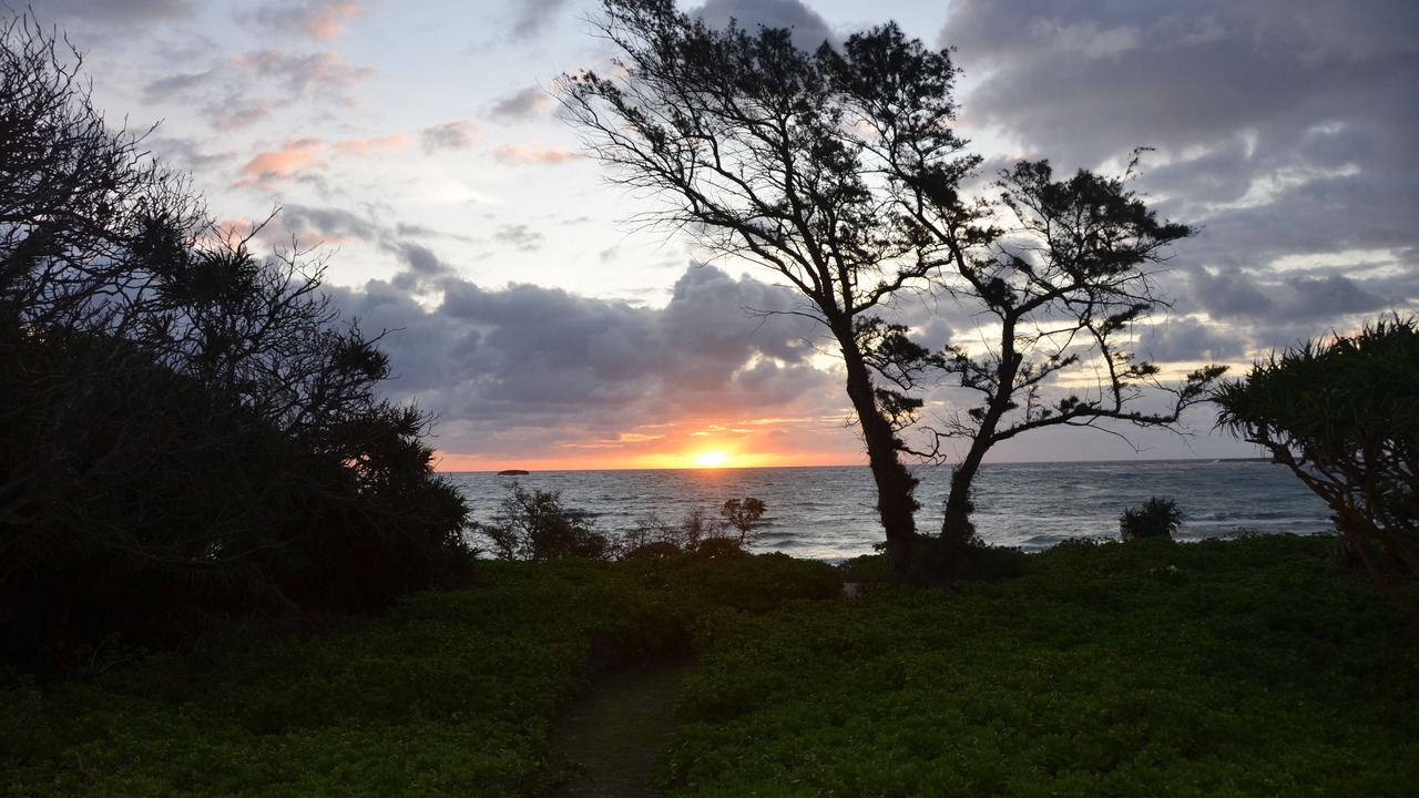 Photo of Others in Kahuku